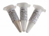 1631